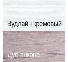 Двухстворчатый шкаф для одежды Оливия 2DG